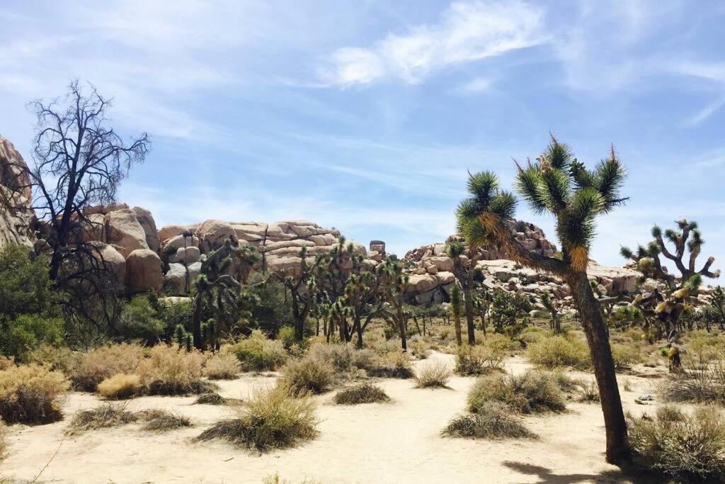 Cozy Stylish Home In The Heart Of Jt Village Joshua Tree Esterno foto